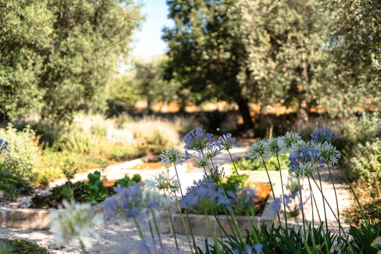 فيلا Trulli Ad Maiora ألبيروبيللو المظهر الخارجي الصورة