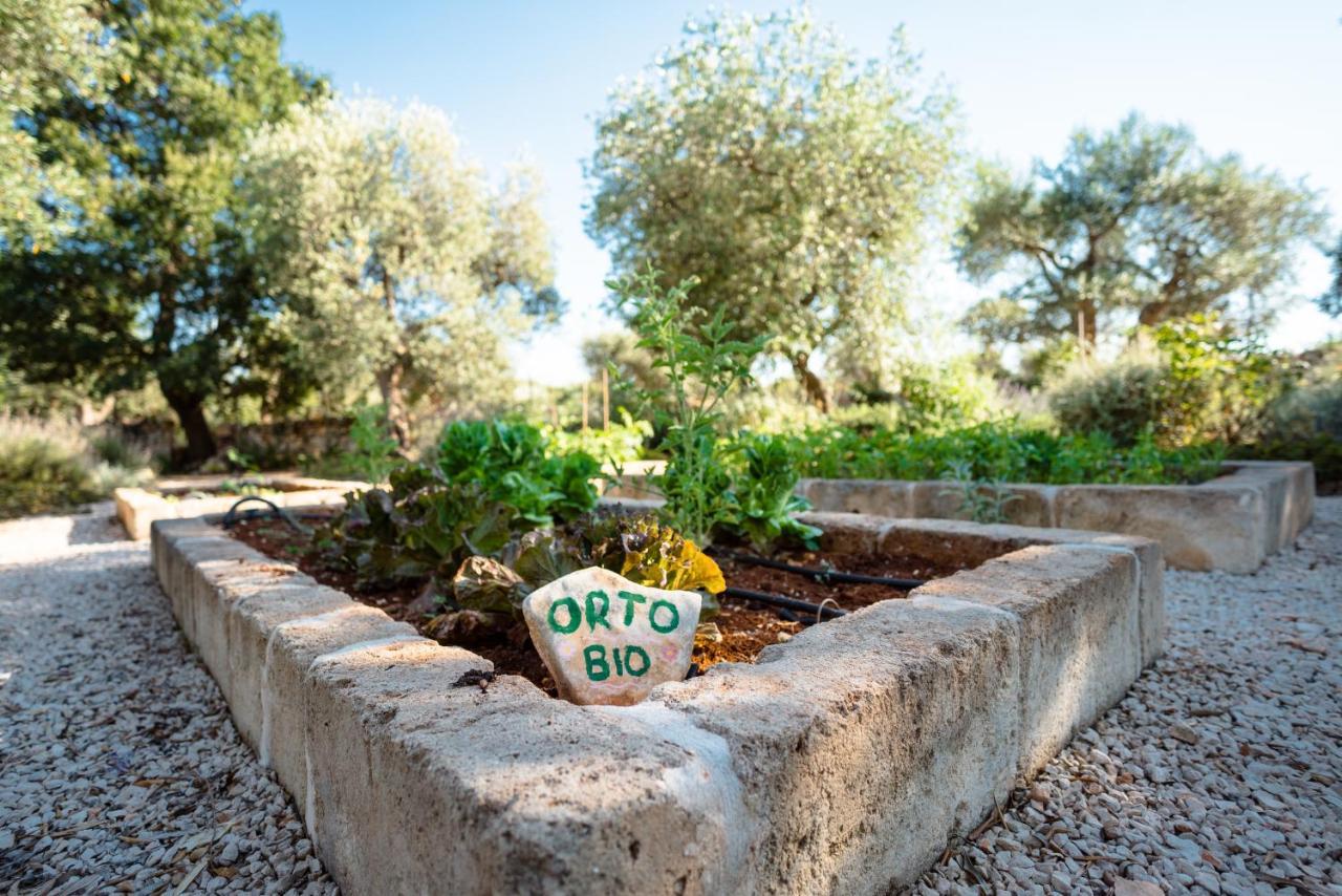 فيلا Trulli Ad Maiora ألبيروبيللو المظهر الخارجي الصورة